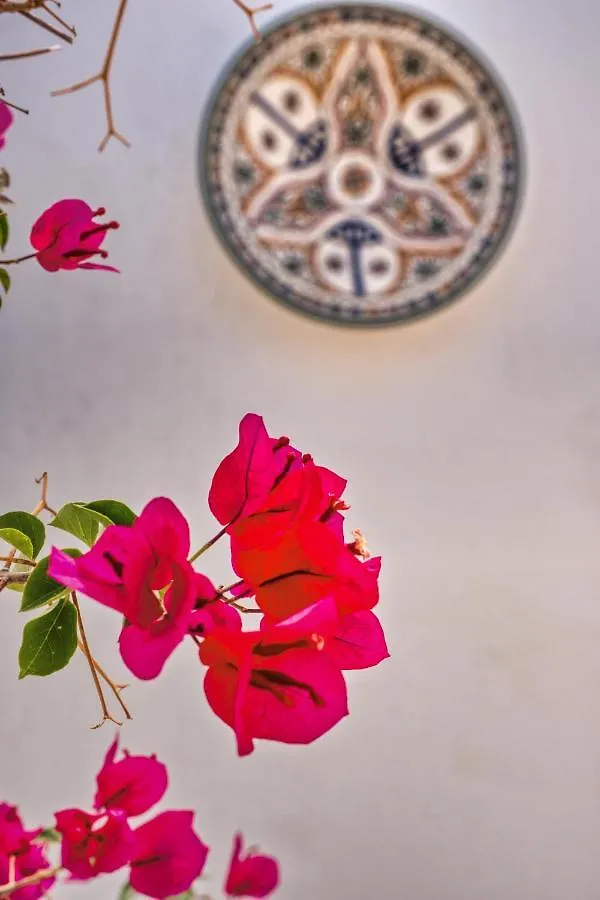 Seaside Penthouse Apartment Marbella